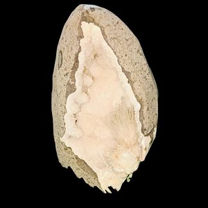 Pièce de Standig de scolecite blanche naturelle de la matrice minérale indienne pour la décoration - Product Image 1