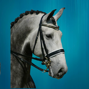 Bride de cheval chaîne diamante fantaisie Fabricant bride de cheval chaîne diamante Vente en gros Bride de cheval chaîne diamante de haute qualité - Product Image 1
