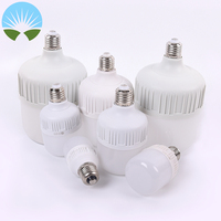 Vente en gros d'ampoules à DEL en forme de T à large gamme d'éclairage Corps en aluminium Ampoule à DEL 20W 6W 10W 15W 20W 30W Ampoules à DEL