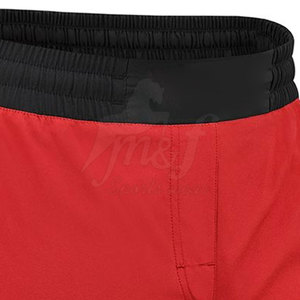 Short Pro Mma pour hommes avec panneau extensible et option de marque avec logo Short d'entraînement Mma pour hommes avec ceinture antidérapante - Product Image 4