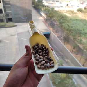 Ricino <b>Oil</b> for Agriculture Use - Product Image 6