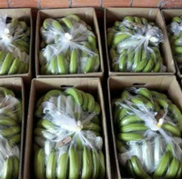 Vietnamse verse Cavendish bananen, geproduceerd met handgekozen fruit voor detailhandel, horeca en wereldwijde distributie.