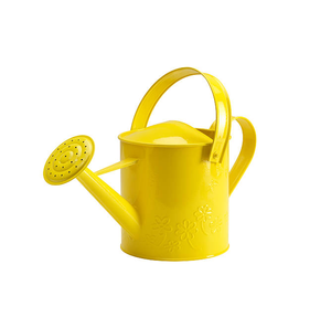 Regadera de metal para plantas, tanque de agua, bebedero de jardín, herramientas de jardinería, diseños de acero, jardín doméstico con venta - Product Image 3