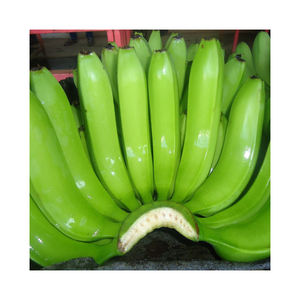 BANANE CAVENDISH VERTE NATURELLE PURE BIO - Product Image 6
