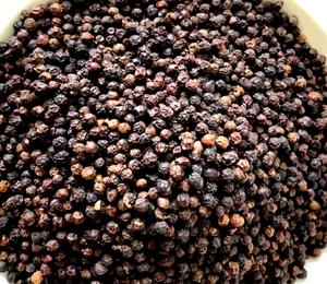 Pimienta Negra 100% Natural de Alta Calidad, Grado A, 24 Meses de Vida Útil, Almacenamiento en Frío, Proveedor de Sudáfrica, Precio Competitivo - Product Image 3
