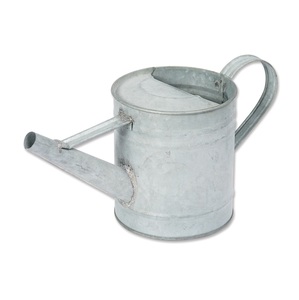 Top tendance en gros personnalisé promotionnel nouveau concepteur petit mini mignon étain galvanisé arrosoir à un prix abordable - Product Image 1