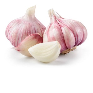 Ajo Fresco Entero con Piel de Buena Calidad, 10 kg, Precio al por Mayor de Tailandia - Product Image 3