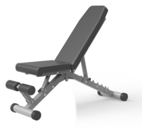 Banc de musculation professionnel robuste et réglable, multifonction, pliable pour extensions et curls des jambes