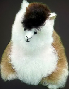 ตุ๊กตาอัลปาก้าพรีเมียม บรรจุใยฝ้าย PP ผลิตจากวัสดุ PE - Product Image 2