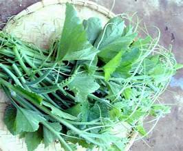 PURAS DE CALABAZA CONGELADAS NATURALES PURAS ETIQUETA LIMPIA VEGETAL VERDE A BASE DE PLANTAS ALIMENTOS PARA EXPORTACIÓN - Product Image 6