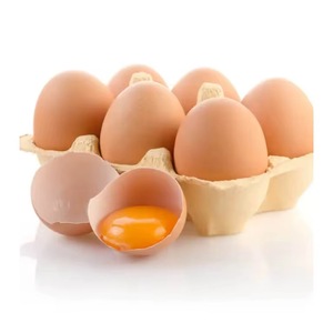 Vente en gros d'œufs de table frais et propres, jaune inclus, emballés dans des barquettes hygiéniques, disponibles pour une livraison rapide - Product Image 5