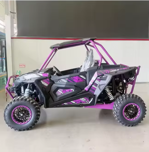 Buggy utilitaire tout-terrain SSV 1000cc 4x4 à transmission CVT, moteur essence, 2 places, 100% fiable, OEM/ODM, DIY, industriel - Product Image 1