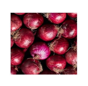 Achetez des oignons rouges frais de haute qualité en gros, parfaits pour la vente en gros, la vente au détail et la cuisine - Product Image 6