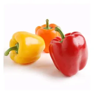 Best Selling and High Quality 100% Natural Product Fresh Bell Pepper Ready for Export in Bulk Quantity