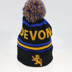 Haute qualité personnalisable coton hiver Bobble chapeaux 3D broderie bonnet étanche impression motif Image Style tailles disponibles - Product Image 3