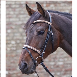 Vente en gros de haute qualité bride en cuir de cheval bride en cuir de cheval prix de gros bride en cuir de cheval 2018 vente chaude cheval - Product Image 4