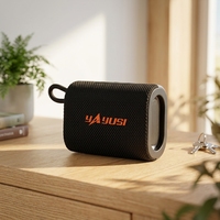 Enceinte portable sans fil étanche IPX5 avec lumières LED RGB, Bluetooth 6.0, appairage TWS, puissance de sortie 5W, longue autonomie, idéale pour les fêtes