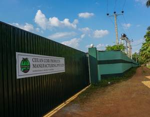 Origine sri lankaise 100% Briquettes de coco biodégradables naturelles pour serres, jardins et fermes hydroponiques - Product Image 3