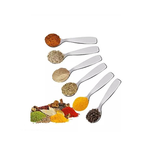 Cuchara de condimento pequeña de acero inoxidable para caja de mashala, tarros de especias para Cocina Casera para medir fiestas - Product Image 1