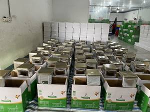 Anacardos crudos de precio razonable Kernel WW320 Anacardos enteros secos de proveedor de Vietnam Embalaje en caja de lata - Product Image 4