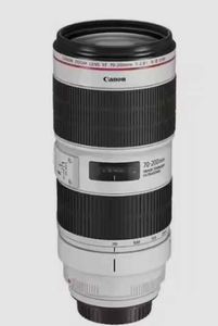 Lente teleobjetivo con zoom Canon EF 70–200 mm f/2.8L IS III USM - Product Image 3
