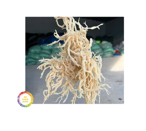 Wholesale Premium Quality Wildcrafted Dried Seamoss Bulk Irish Seamoss Cottoni <b>Sea</b> <b>Moss</b> Seasoned Laver Vietnam Gold Gold <b>Sea</b> - Product Image 1