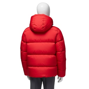 Blouson d'hiver chaud pour homme grande taille, nouveau design tendance, col montant, broderie logo avant, style bulle, 2026 - Product Image 4