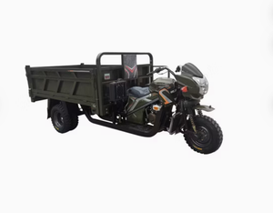Nouveau Tricycle de Cargaison à Trois Roues Robuste avec Moteur 300 cc Refroidi par Eau Modèle 2026 - Product Image 3