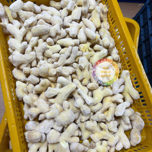 Proveedor Vietnamita de Jengibre Congelado Premium para Exportación - Tiras de Jengibre Cortadas Suavemente para Adobos y la Industria de Mejora de Sabores - Product Image 2