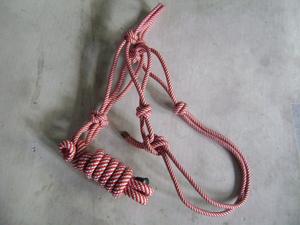 Durable Nylon Braid Western Saddle Rope Halter Beaded Noseband Matching <b>Lead</b> Rope-Premium Equestrian Gear (Customized Color) - Product Image 2