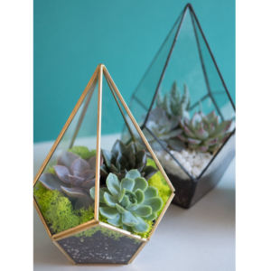 Terrariums en verre modernes exclusifs, nouvelle arrivée, très demandés, bordure en laiton, forme triangulaire, finition personnalisée faite à la main, noir - Product Image 2