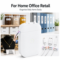 Imprimante d'étiquettes thermique portable Bluetooth AIYIN D11 Mini 203dpi sans encre rechargeable pour l'organisation à domicile et au bureau