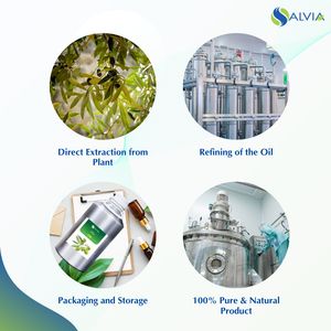 Aceite de oliva 100% puro y natural al por mayor a granel precio más bajo embalaje personalizado - Product Image 4