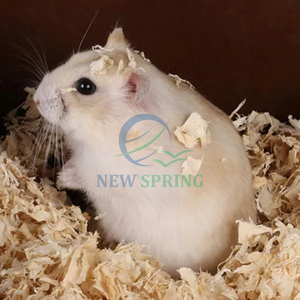 Virutas de Madera de Pino Premium de Vietnam - Cama Limpia para Aves de Corral y Ganado - Product Image 3