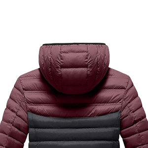 Men <b>Winter</b> <b>Waterproof</b> Puffer <b>Jackets</b> with Stand Collar and Front Logo High Street Style Regular Length Sleeves - Product Image 4
