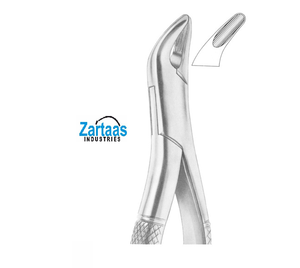 Forceps dentaires en acier inoxydable de haute qualité pour l'extraction des incisives, des premiers molaires et des dents de lait, fig. 62 - Product Image 4