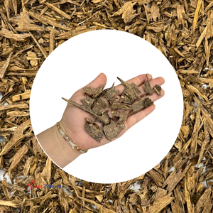 Perles d'encens en bois d'origine vietnamienne, forme COSMIC, copeaux d'agarwood les plus populaires, arôme intense, parfum sucré, Bakhoor Oud - Product Image 2