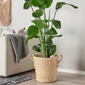Pots à plantes robustes en matériaux naturels imperméables pour la décoration de la maison, du jardin et de la famille-Support personnalisé - Product Image 5