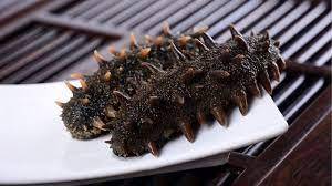 Pepino de mar seco vietnamita de alto grado 2025 fresco y natural a la venta - Product Image 4