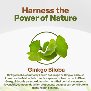 Food Supplement <strong>Ginkgo</strong> Biloba <strong>Leaf</strong> <strong>Extract</strong> 24% Flavones 6% Lactones Powder - Product Image 5