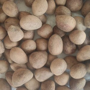 Coco Seco Entero Dulce Orgánico de Primera Calidad - 100% Natural, Secado al Vacío, Sin OMG, a Granel, Origen India, Calidad de Exportación - Product Image 5