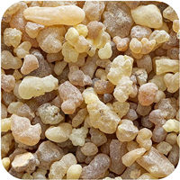Encens Indien au Frankincense et au Bois d'Agar, Résine Organique Aromatique, Encens en Larmes, Gomme d'Oliban, 100% Fait Main, Gingembre, Lavande, Bergamote