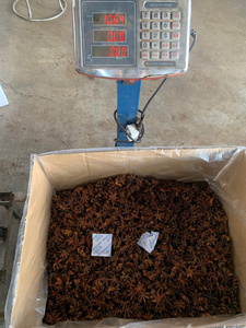 Nouvelle récolte 2025, gros anis étoilé d'automne, origine Vietnam, qualité supérieure, meilleur prix de gros WS+84359166896 - Product Image 6