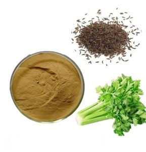 Best Quality Food Grade <strong>Celery</strong> Seed <strong>Extract</strong> Powder <strong>Apigenin</strong> <strong>98</strong>% Wild Cultivation Low Price Supplement Exporter Rate - Product Image 1