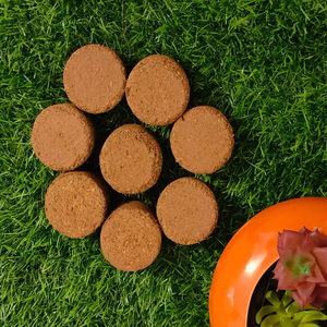 Discos y monedas de turba de coco de alta calidad para un enraizamiento rápido y una mejor retención de agua, perfectos para uso en plantas de interior y exterior - Product Image 5