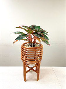 Ensemble de 2 pots de plantes en rotin pour meubles d'intérieur et panier de décoration intérieure Solutions de rangement au design personnalisé Made in Vietnam-OEM/ODM - Product Image 3