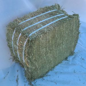 Heno de Timothy Orgánico de Alto Contenido Proteico, Grado Alimenticio para Animales, de Fábrica China, Empacado en Bolsas, Precio de Venta - Product Image 1