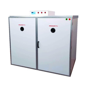 Macchina professionale per incubatrice per uova di gallina 3042 di alta qualità italia fabbricazione ECO 4.2 DU IS - Product Image 1