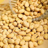 OEM/ODM Snack de Soja Séché Sain, Édamame Croustillant, Saveur Noisette Sucrée, Marque Kim Long, Vietnam, Prêt à l'Exportation, Approvisionnement en Vrac