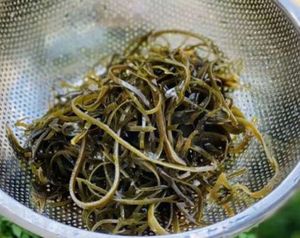 Mejor precio agricultura Algas marinas fritas Comida vietnamita Algas irlandesas secas para cocinar setas fritas - Product Image 5